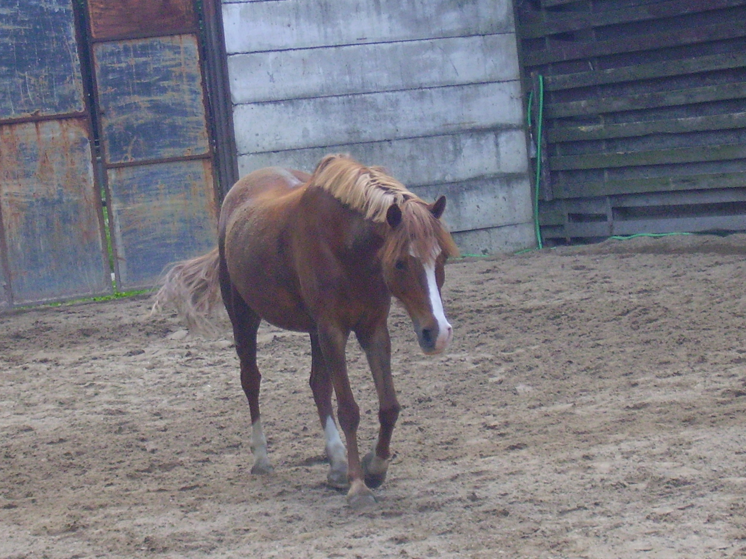 PICT0106.JPG