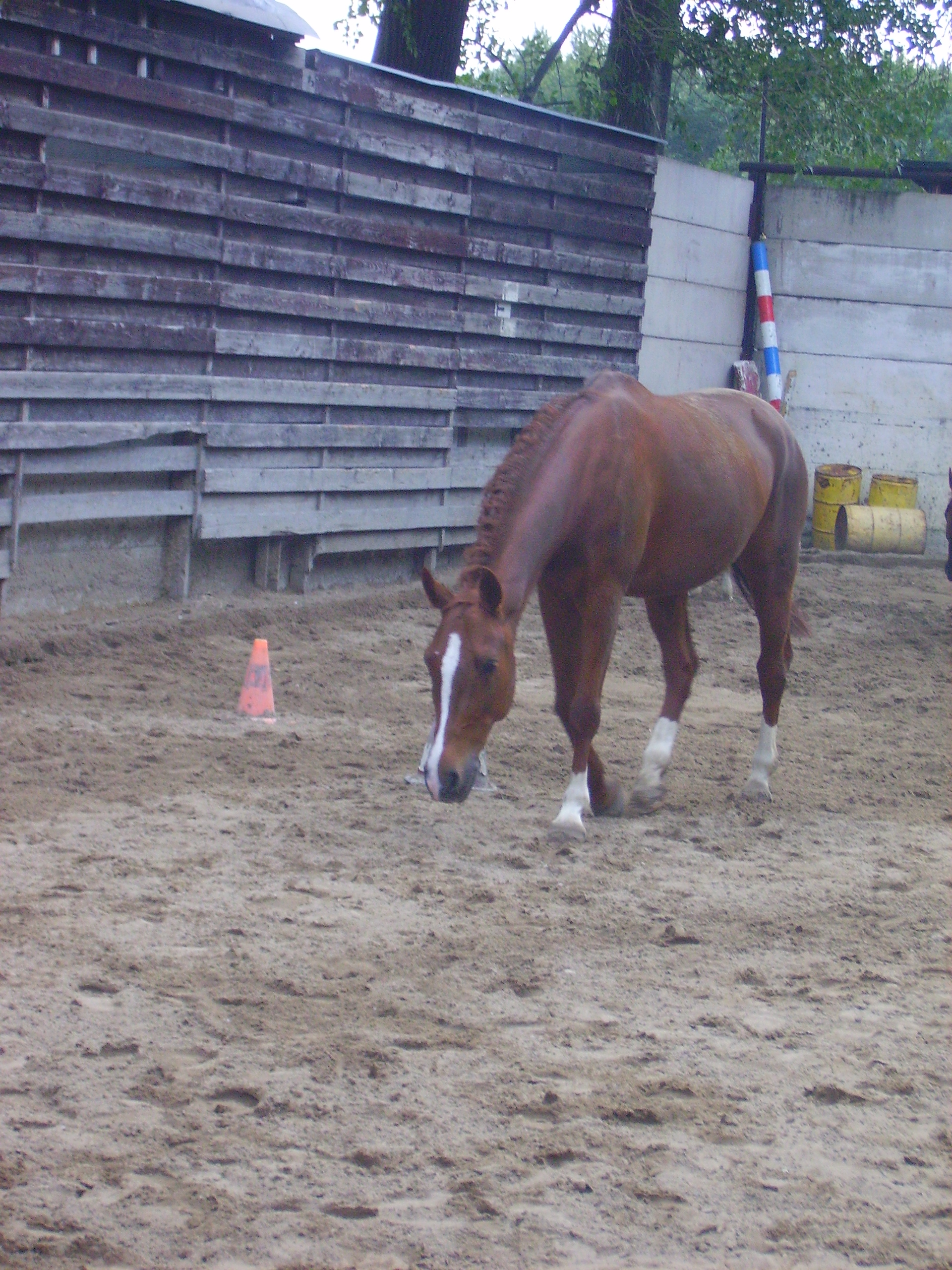 PICT0144.JPG