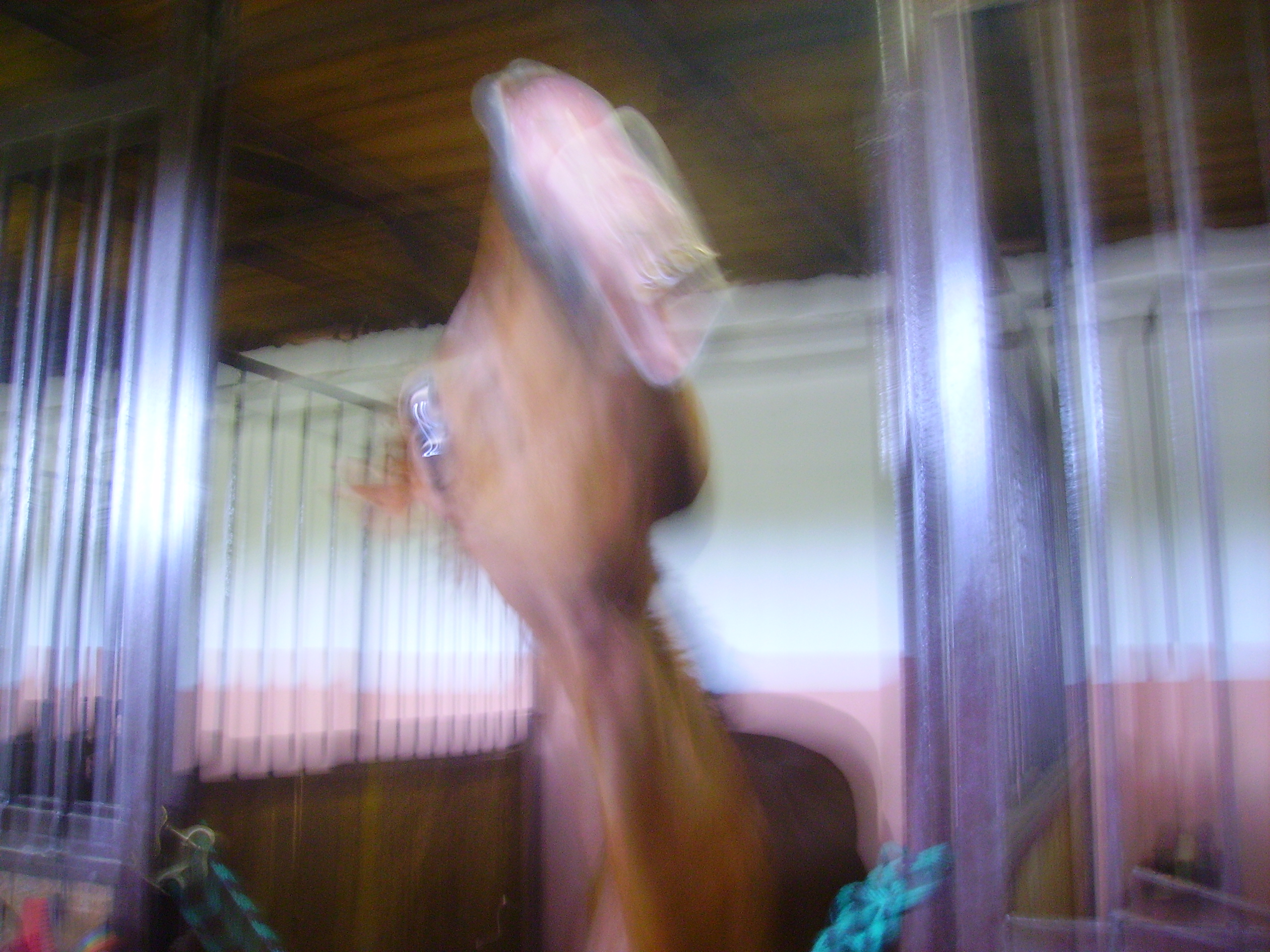 PICT0240.JPG