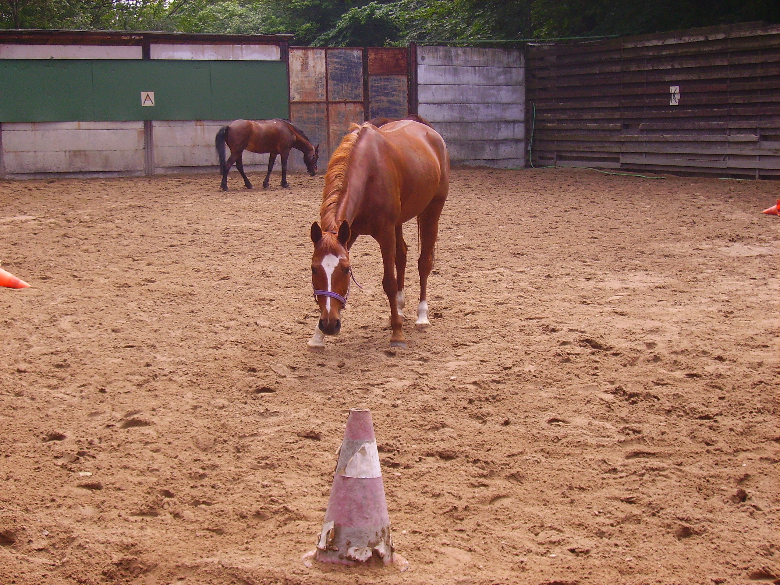 PICT0269.JPG