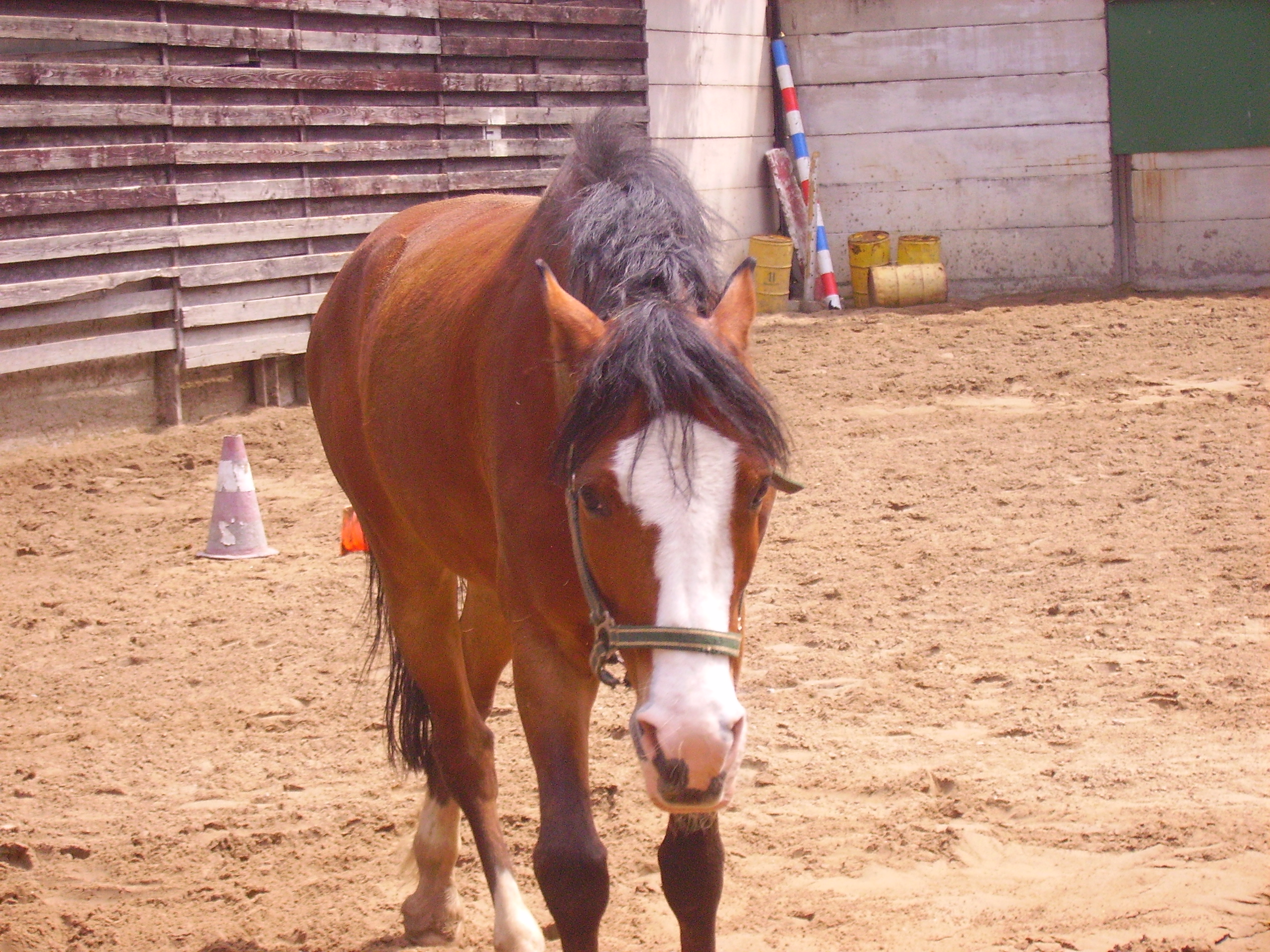 PICT0257.JPG
