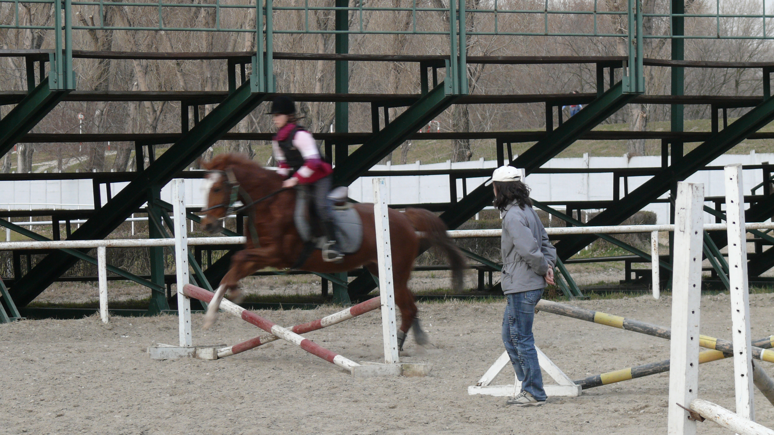 L1010503.JPG