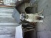 DSC00100.JPG